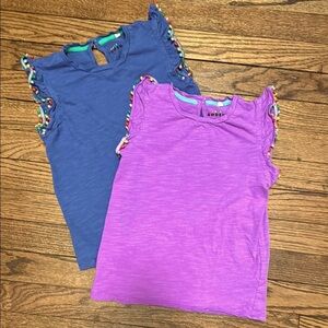 Two Mini Boden girls tees for Spring - EUC